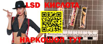 стаф Гусев