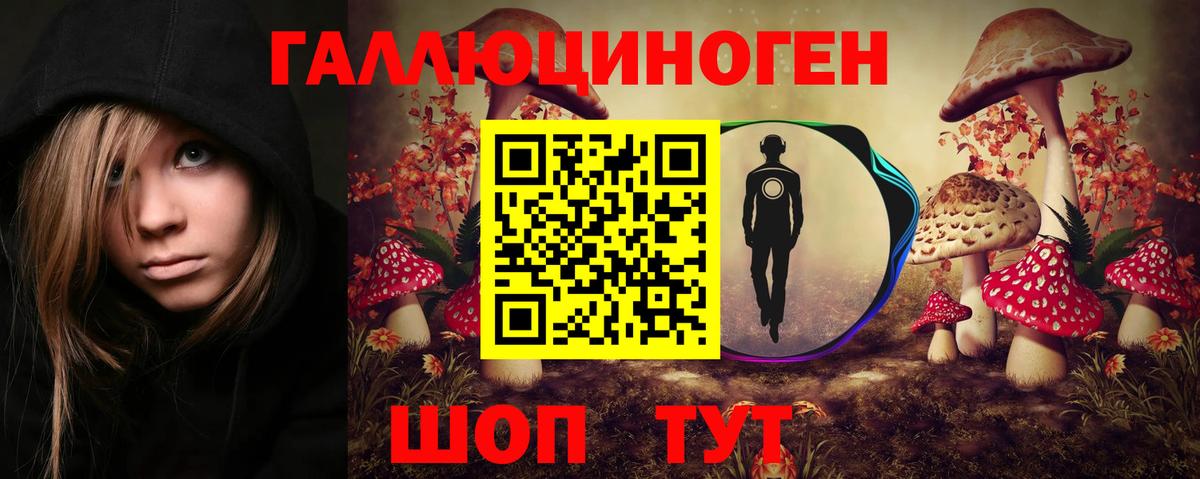 Галлюциногенные грибы Psilocybine cubensis Звенигород